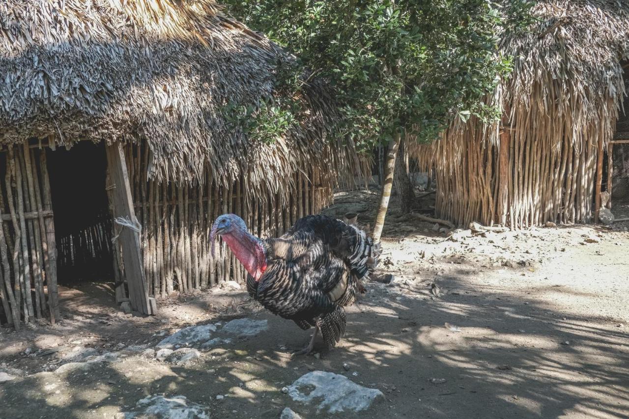 Wakax Hacienda - Cenote & Boutique Hotel - Small Luxury Hotels Of The World Tulum Eksteriør bilde
